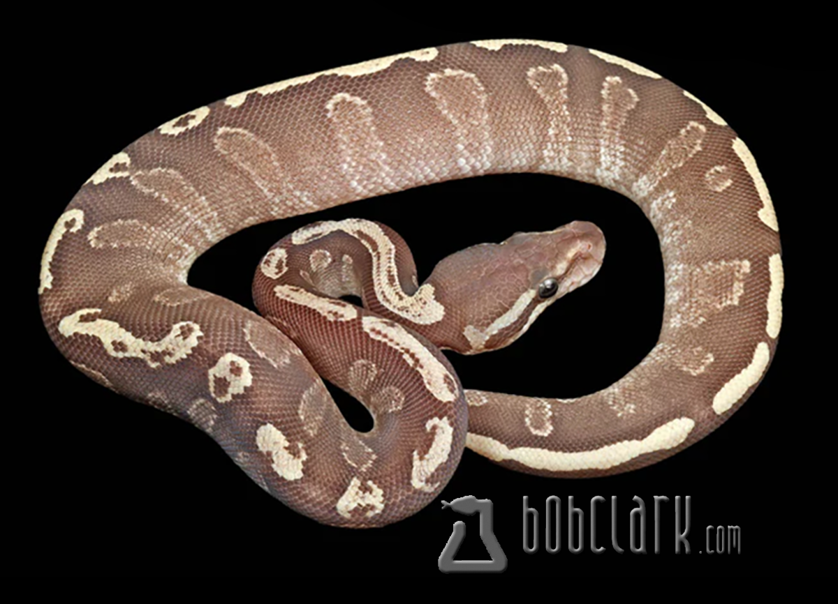 Mojave GHI fire het hypo