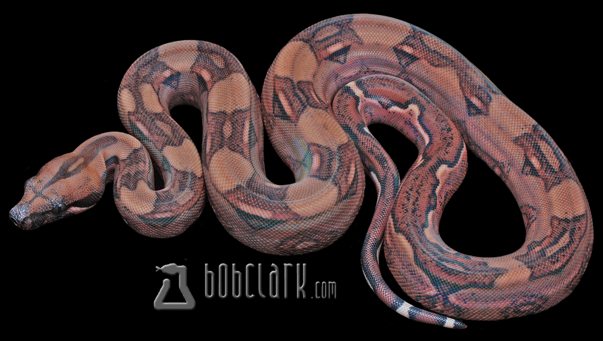 Blood poss het sharp