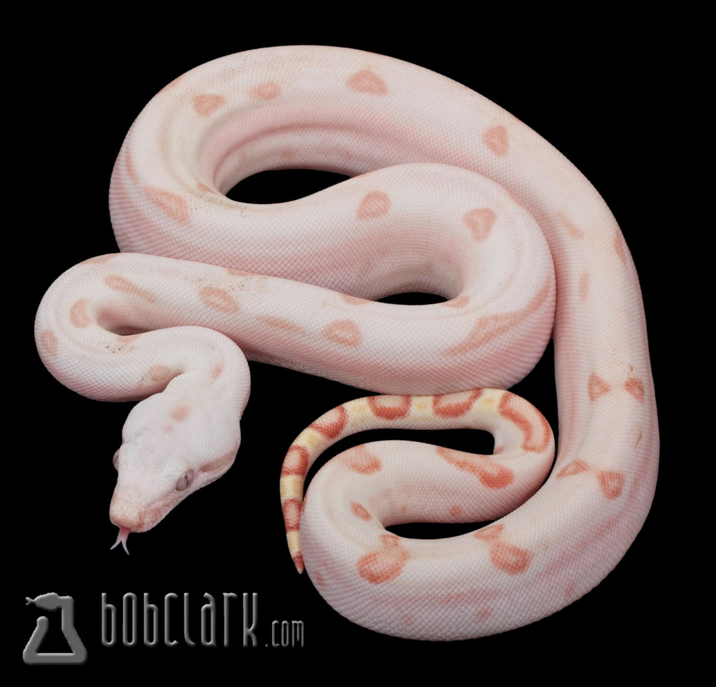 VPI sunglow labyrinth fire