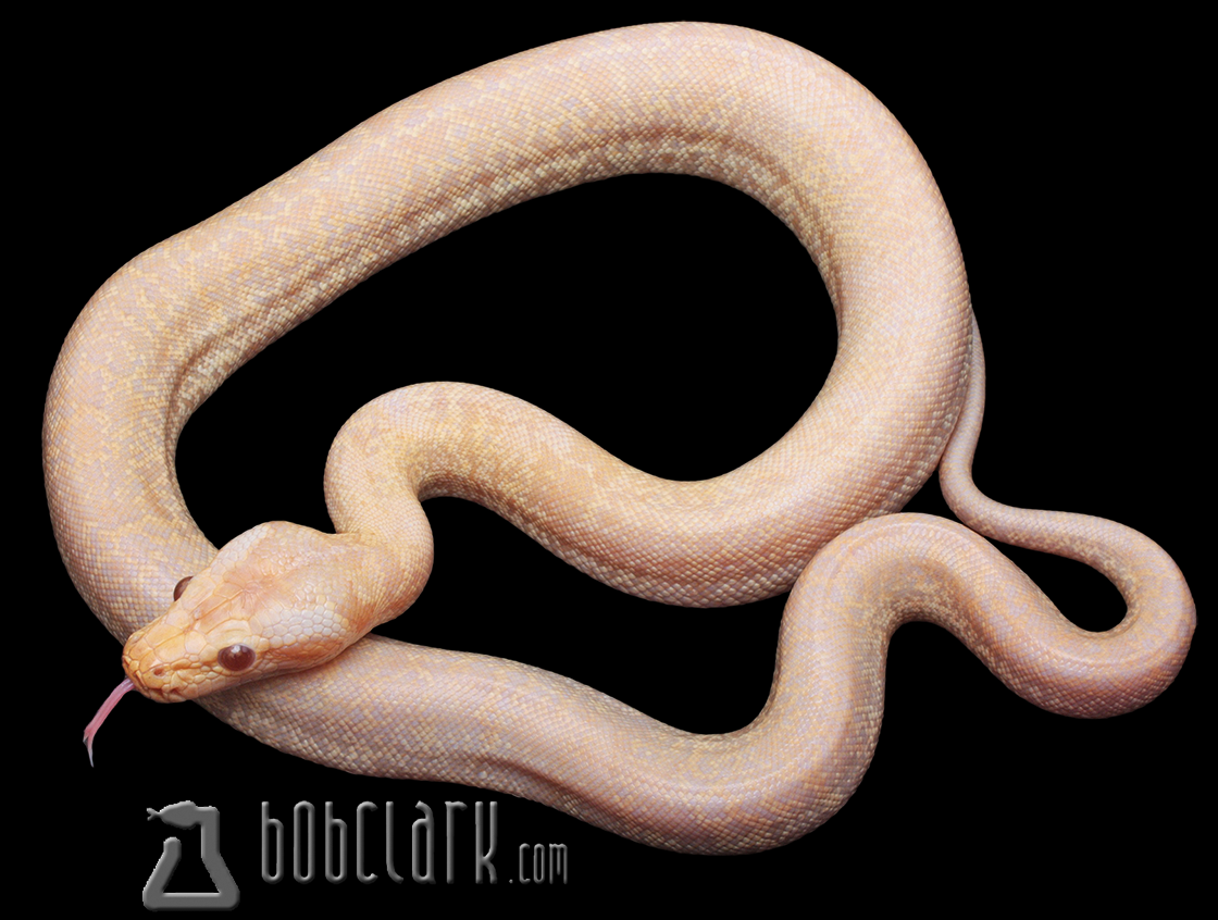 Caramel granite pos het green