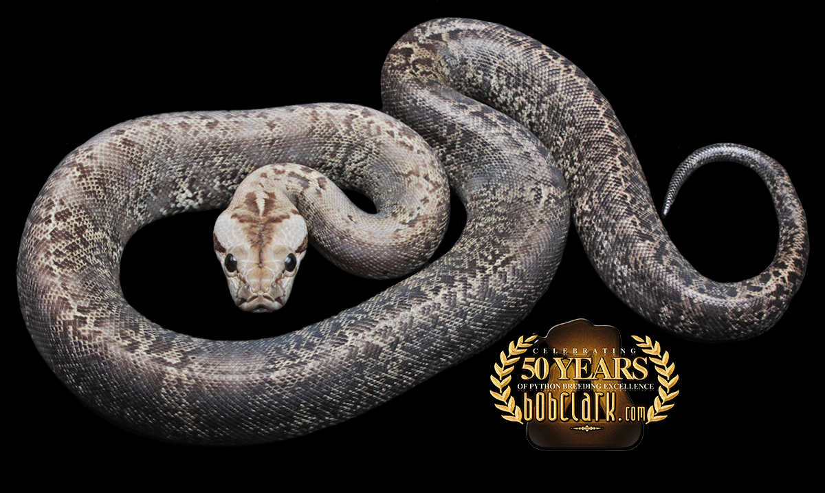 Granite het caramel pos het green