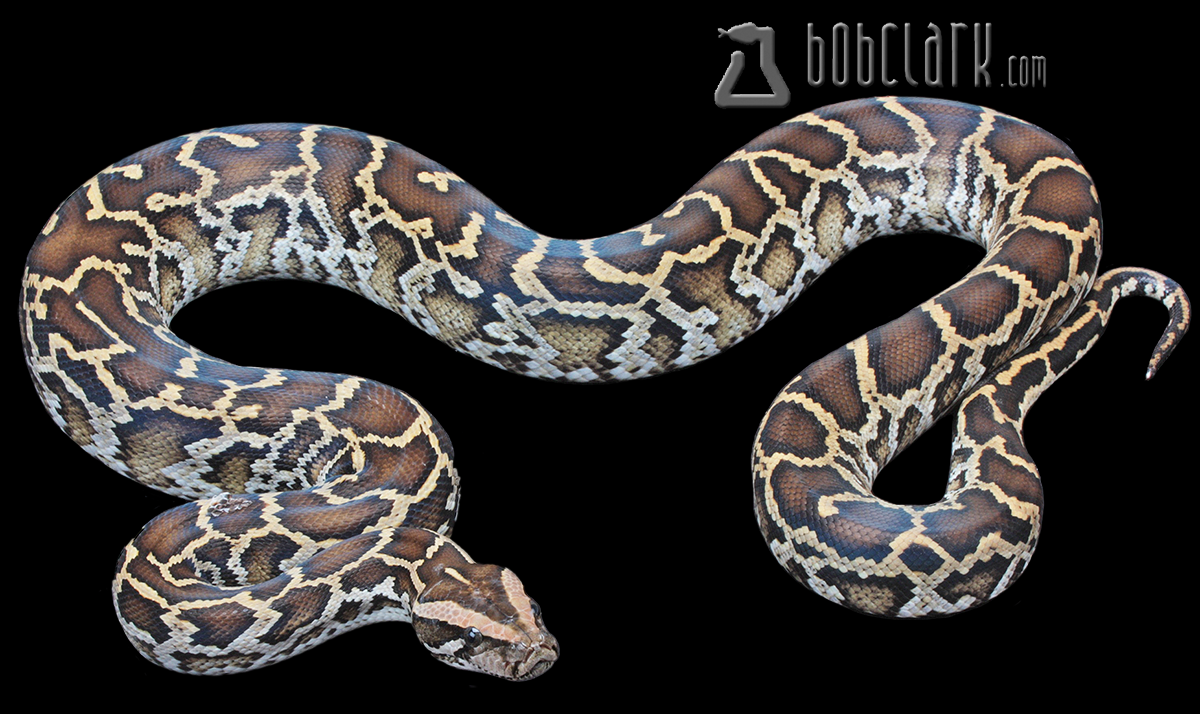 Het granite 48"