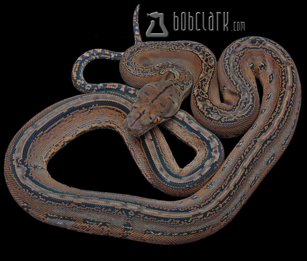 Marble poss het mocha
