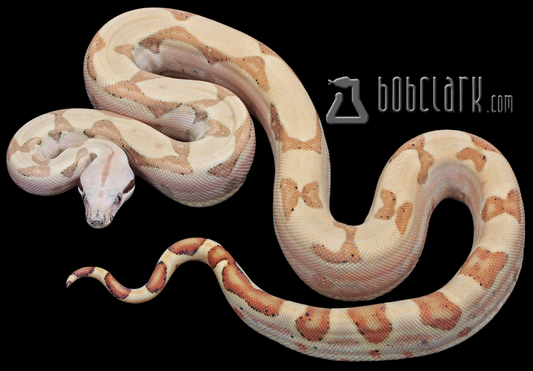 Hypo Labyrinth pos het T+ VPI