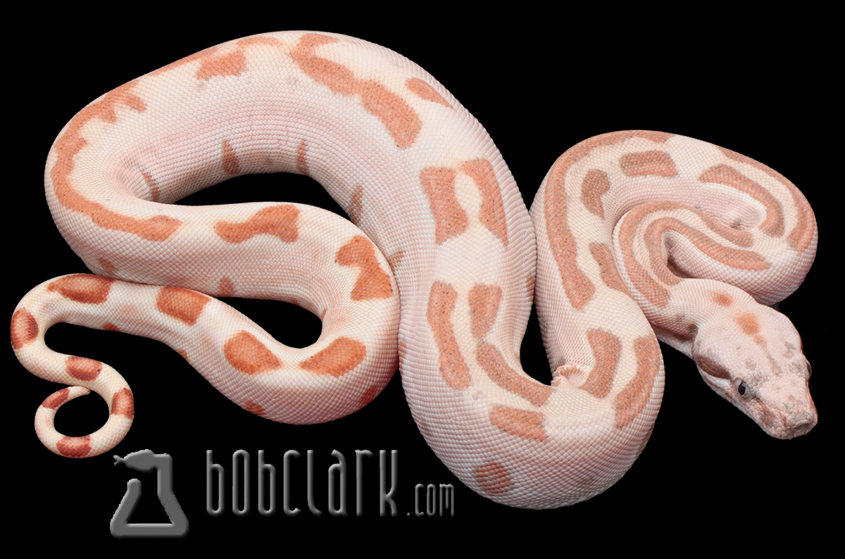 Hypo labyrinth het T+ VPI