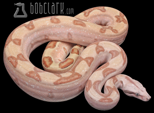 Hypo labyrinth pos het T+ VPI 40"