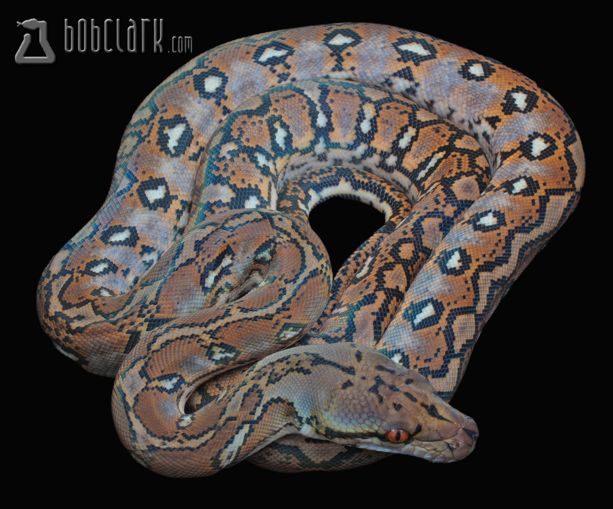Aztec het anthrax