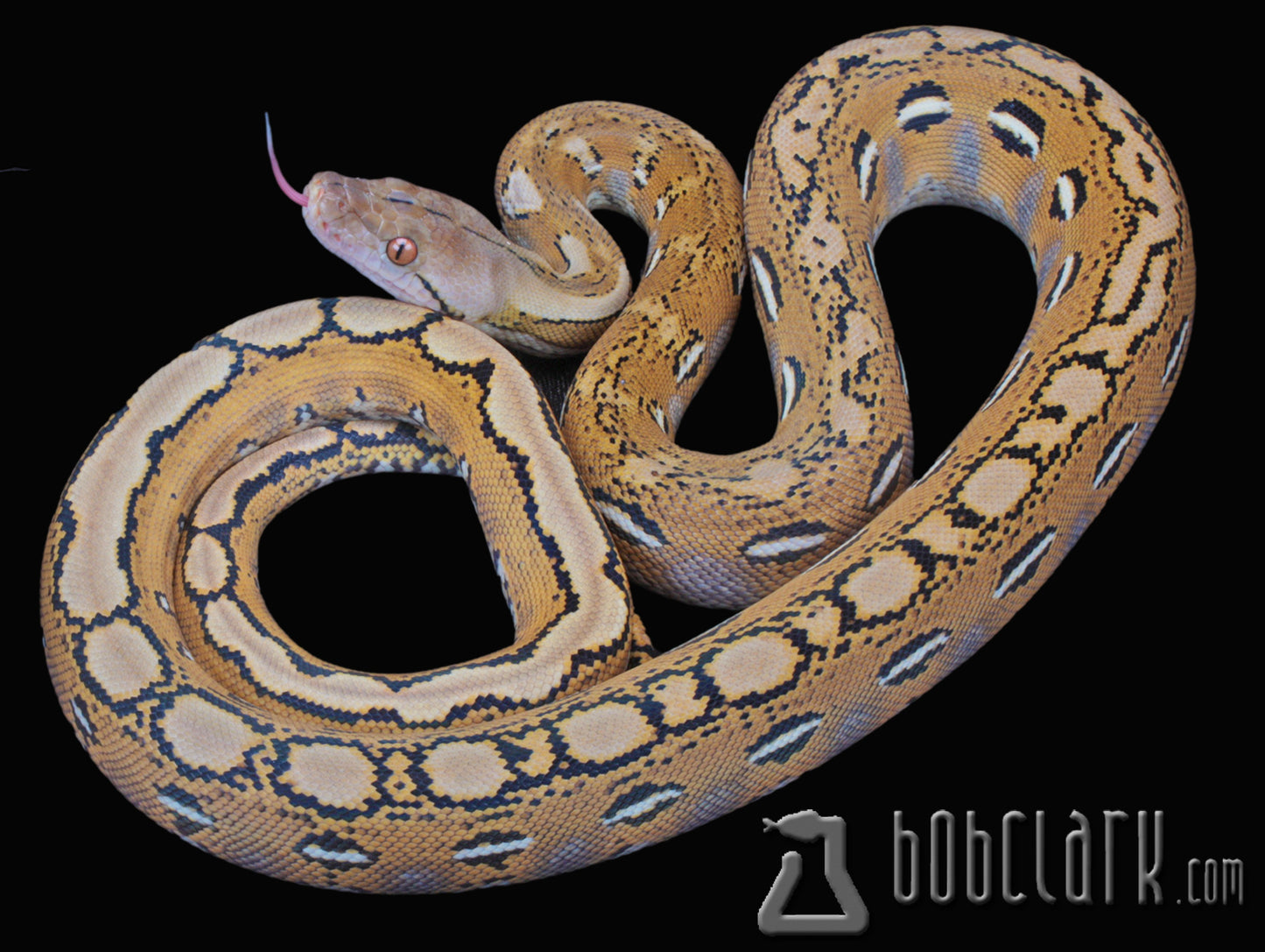 Fire poss het OGS andhypo