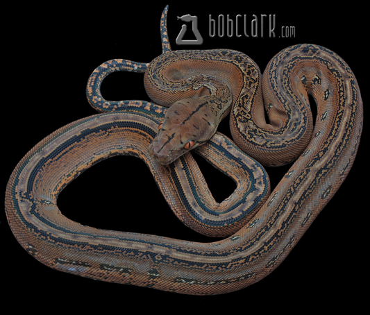 Marble poss het mocha