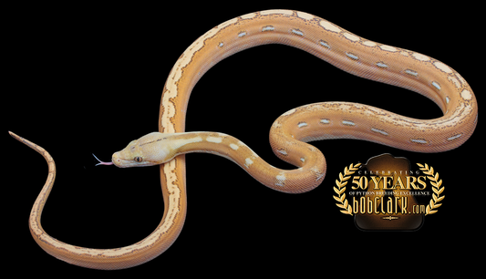 OGS fire 66% het hypo