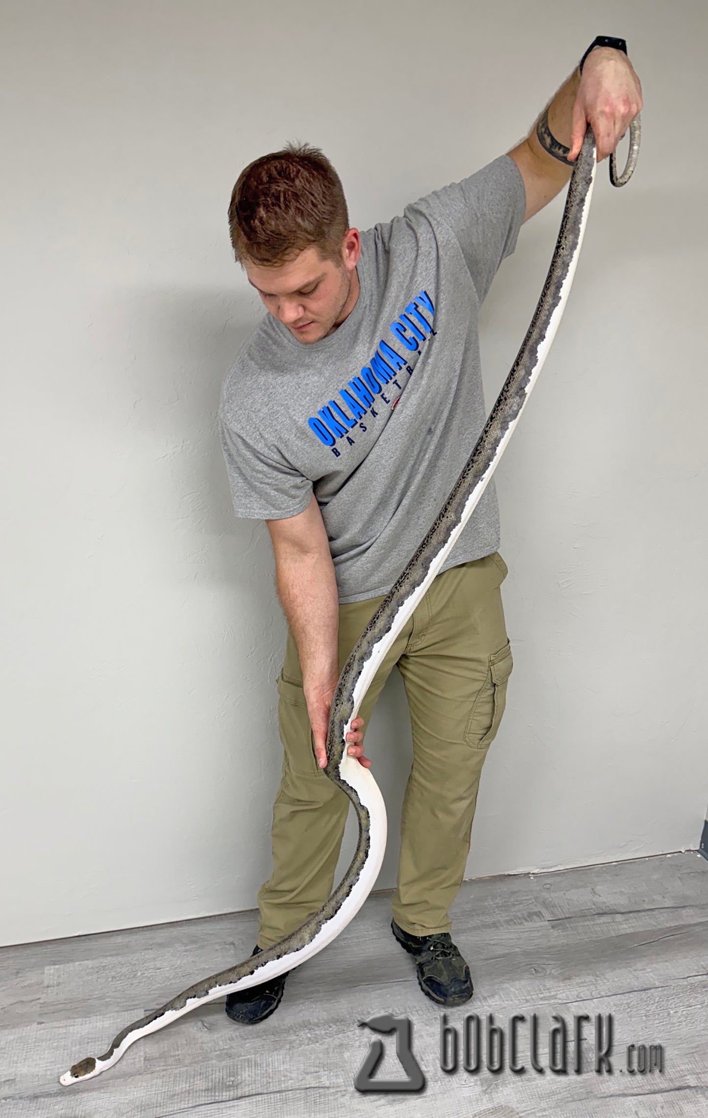 Pied 9 feet long